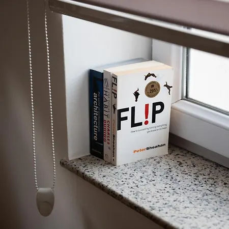 Bright & Spacious In Main Zone Apartment